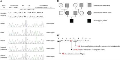 Case report: A 10-year prognosis of neonatal diabetes caused by a novel INS gene mutation